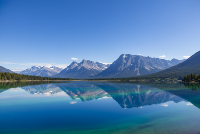 "The Hidden Dangers of Artificial Flavors in Apparel, Coffee, and Food: A Call for Natural Alternatives"